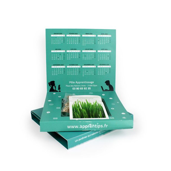 Carte Jardin personnalisable – Objet publicitaire écologique avec sachet de graines pour communication d’entreprise B2B