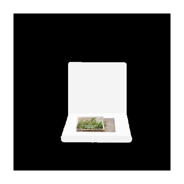 Carte Jardin personnalisable – Objet publicitaire écologique avec sachet de graines pour communication d’entreprise B2B