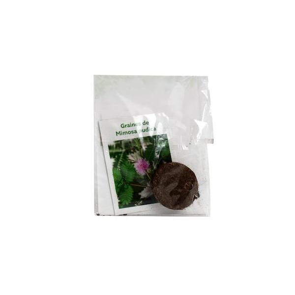 Kit herbier personnalisé – Communication responsable pour entreprises et associations | BCM Goodies