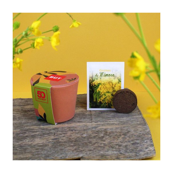 Kit plantation personnalisé en pot céramique Ø7 cm pour entreprises – BCM Goodies