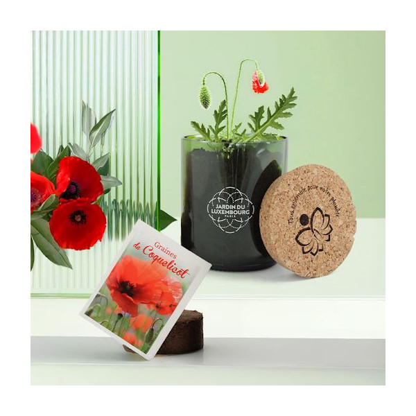 Kit de plantation personnalisable en bouteille recyclée – Goodies d’entreprise écologiques BCM Goodies
