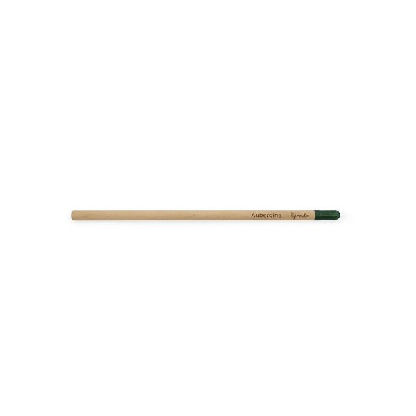 Crayon à graines personnalisable | Goodies écologique entreprise – BCM Goodies