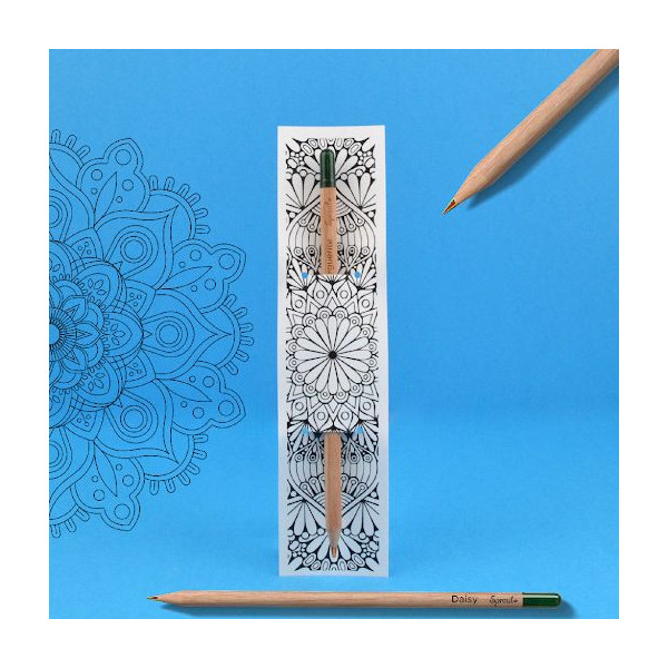 Crayon à graines en bois de tilleul personnalisable avec étui à colorier – Goodie écologique BCM Goodies