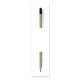 Crayon à graines en bois de tilleul personnalisable avec étui à colorier – Goodie écologique BCM Goodies