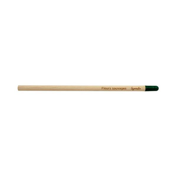 Crayon à graines standard