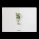 Plante postale Idée Nature : Goodie écologique personnalisé pour communication d’entreprise – BCM Goodies