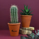 Plante en pot personnalisable pour entreprises - BCM Goodies