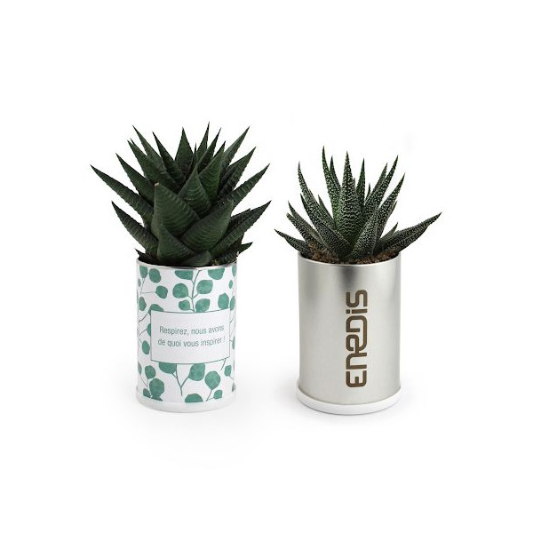 Canette plante all over personnalisable – Objet publicitaire écologique pour communication d’entreprise