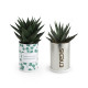 Canette plante all over personnalisable – Objet publicitaire écologique pour communication d’entreprise