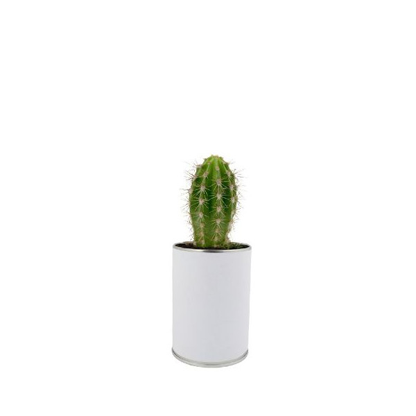 Canette plante all over personnalisable – Objet publicitaire écologique pour communication d’entreprise