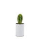 Canette plante all over personnalisable – Objet publicitaire écologique pour communication d’entreprise