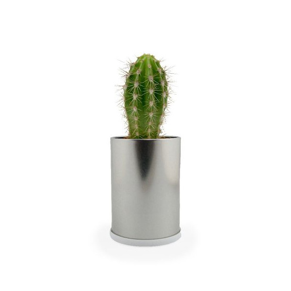 Canette plante alu personnalisable Ø90mm – Cadeau végétal écologique pour entreprises