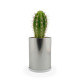 Canette plante alu personnalisable Ø90mm – Cadeau végétal écologique pour entreprises