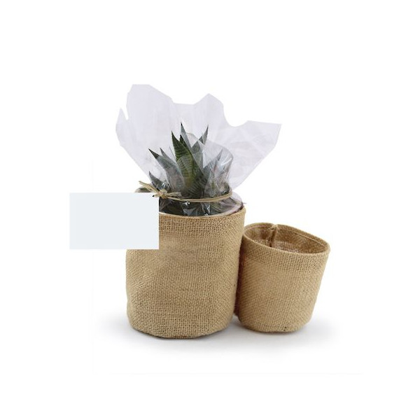 Plante en pot toile de jute personnalisable – Cadeau d’entreprise écologique – Marquage sur étiquette – BCM Goodies