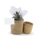 Plante en pot toile de jute personnalisable – Cadeau d’entreprise écologique – Marquage sur étiquette – BCM Goodies