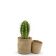 Plante en pot toile de jute personnalisable – Cadeau d’entreprise écologique – Marquage sur étiquette – BCM Goodies