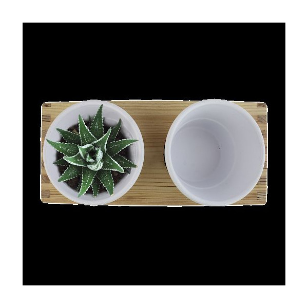 Plateau bois avec 2 pots céramique personnalisable – Cadeau d’entreprise pratique et élégant BCM Goodies