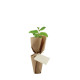 Pot en fibre de bois PEFC avec plant d’arbre à replanter – Cadeau d’entreprise écologique personnalisé