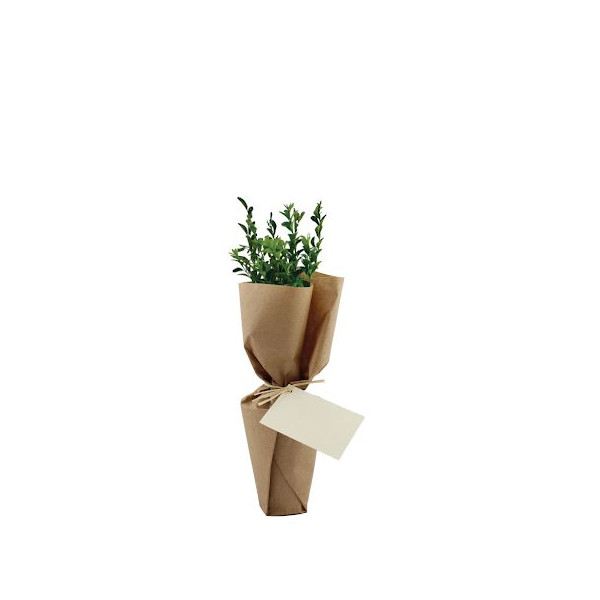 Arbre pot en fibre de bois prestige personnalisable – Cadeau d’entreprise écologique fabriqué en France
