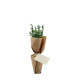 Arbre pot en fibre de bois prestige personnalisable – Cadeau d’entreprise écologique fabriqué en France