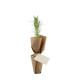 Pot en fibre de bois personnalisable avec plant d’arbre – Objet publicitaire écologique pour entreprises