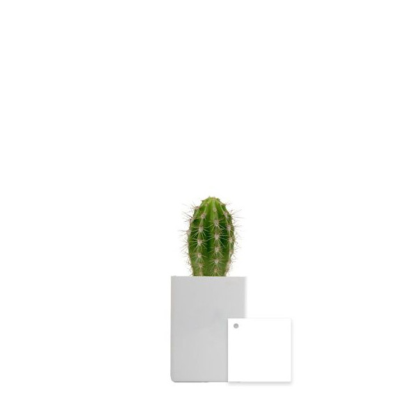 Pot ordi personnalisable – Goodie pour communication d’entreprise et accueil collaborateurs | BCM Goodies