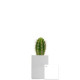 Pot ordi personnalisable – Goodie pour communication d’entreprise et accueil collaborateurs | BCM Goodies