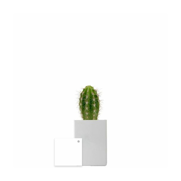 Pot ordi personnalisable – Goodie pour communication d’entreprise et accueil collaborateurs | BCM Goodies