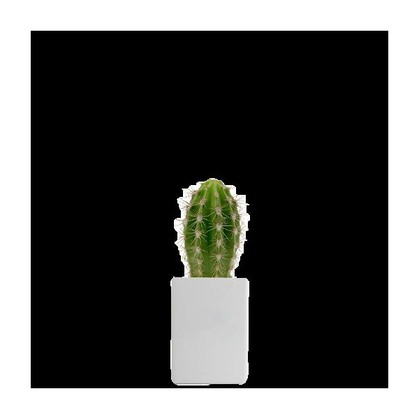 Pot ordi personnalisable – Goodie pour communication d’entreprise et accueil collaborateurs | BCM Goodies