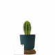 Plante personnalisable en pot bambou liège – Objet publicitaire écologique pour entreprises | BCM Goodies