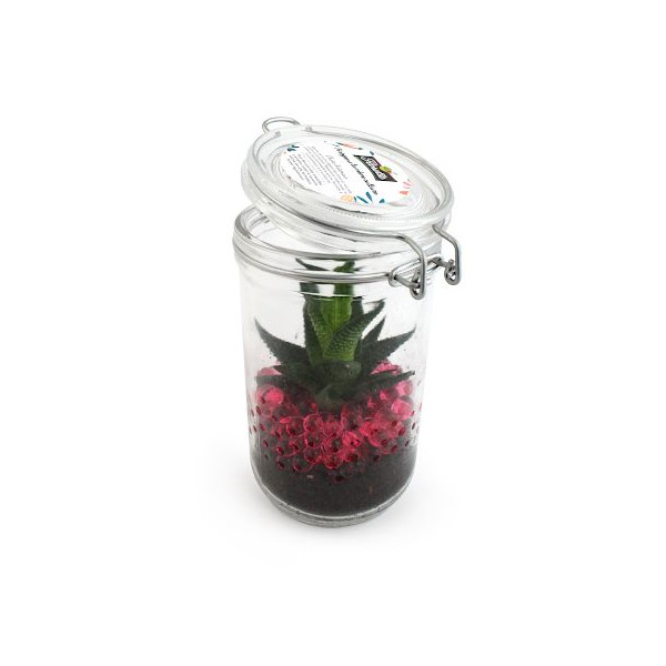 Bocal 75cl avec plante verte et billes d'eau de couleur - BCM Goodies