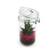 Bocal 75cl avec plante verte et billes d'eau de couleur - BCM Goodies