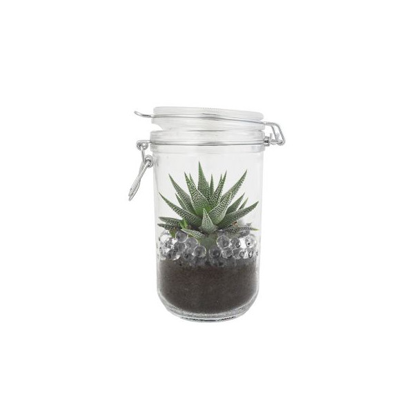 Bocal 75cl avec plante verte et billes d'eau de couleur - BCM Goodies
