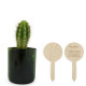 Plante verte personnalisable dans pot recyclé Ø70x85mm avec pic en bois – Objet publicitaire écologique fabriqué en France