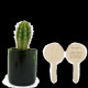 Plante verte personnalisable dans pot recyclé Ø70x85mm avec pic en bois – Objet publicitaire écologique fabriqué en France