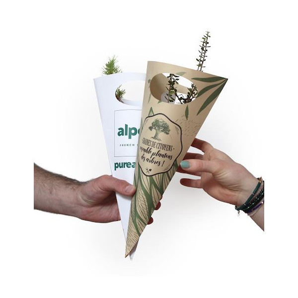 Cornet arbre feuillus personnalisé – Support de communication écologique pour entreprises | BCM Goodies