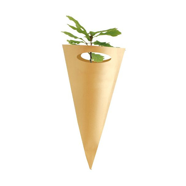 Cornet arbre feuillus personnalisé – Support de communication écologique pour entreprises | BCM Goodies