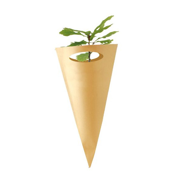 Cornet arbre feuillus personnalisé – Support de communication écologique pour entreprises | BCM Goodies