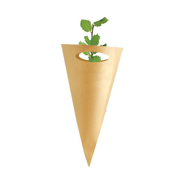 Cornet arbre PRESTIGEs personnalisé – Support de communication végétal pour entreprises – Cadeau d’affaires écologique BCM Goodi