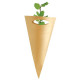 Cornet arbre PRESTIGEs personnalisé – Support de communication végétal pour entreprises – Cadeau d’affaires écologique BCM Goodi