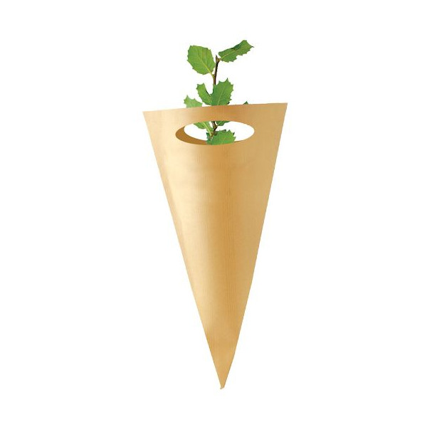 Cornet arbre PRESTIGEs personnalisé – Support de communication végétal pour entreprises – Cadeau d’affaires écologique BCM Goodi