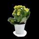 Plante fleurie personnalisable en pot zinc Ø70mm – Cadeau d'entreprise écologique pour événements et welcome packs