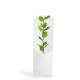 Étui arbre personnalisé PRESTIGEs – Support de communication écologique avec plant d’arbre – Cadeau d’entreprise BCM Goodies