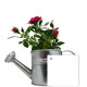 Plante Fleurie en Pot Zinc Arrosoir Personnalisable – Goodie Publicitaire pour Entreprises | BCM Goodies