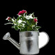 Plante Fleurie en Pot Zinc Arrosoir Personnalisable – Goodie Publicitaire pour Entreprises | BCM Goodies