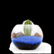 Terrarium DIY Petit modèle personnalisé – Goodies d’entreprise écoresponsable pour communication et événementiel B2B