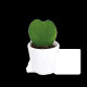 Plante Hoya cœur personnalisée en pot céramique ou terre cuite – Cadeau d’entreprise durable BCM Goodies