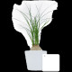 Ficus Ginseng pot Ø7 cm personnalisé – Cadeau d’entreprise végétal pour communication B2B