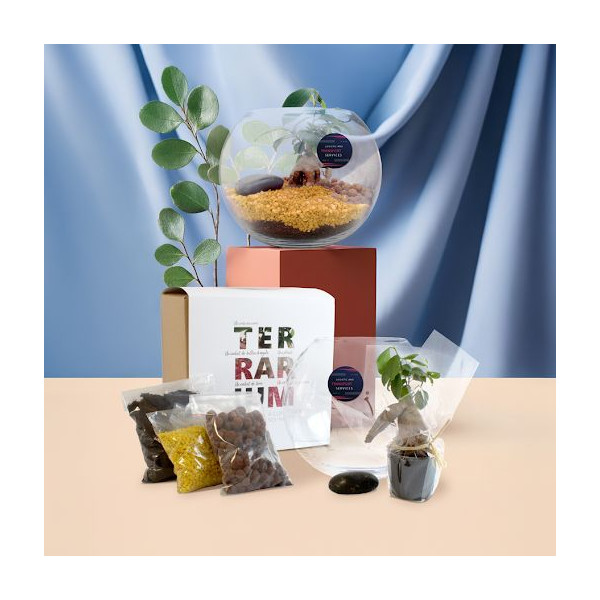 Kit Terrarium DIY Grand modèle pour entreprises – Cadeau d’entreprise éco-responsable personnalisé – BCM Goodies