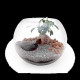 Kit Terrarium DIY Grand modèle pour entreprises – Cadeau d’entreprise éco-responsable personnalisé – BCM Goodies